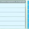 Sistema Respiratório: Inspiração