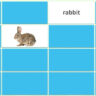 Animal Names